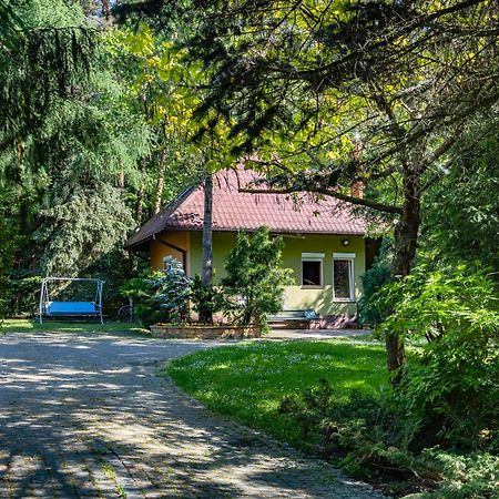 Вилла Dom Nad Stawem Rakszawa Экстерьер фото